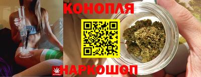 спиды Малгобек
